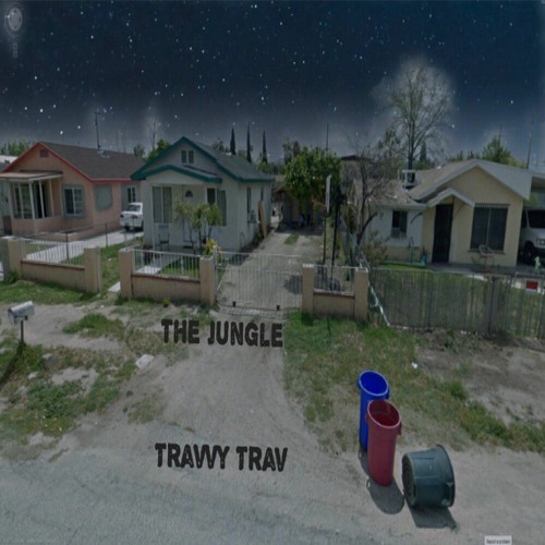 Travvy Trav - The Jungle