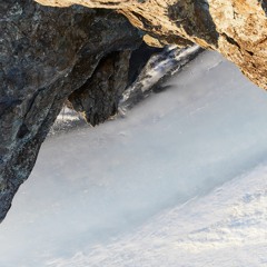 OWL'S HEAD