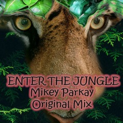 Enter The Jungle - MIkey Parkay 4 da Drums Remix