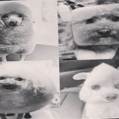 World 4 Ahh Beet - DaDood