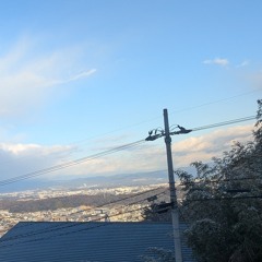 demo この世界の片隅で