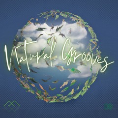 Natural Grooves - Hybrid DJ Set - Pacha Bazar 2023 - CDMX