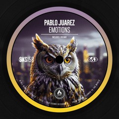 Pablo Juarez - Emotions