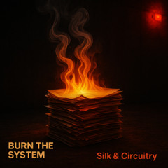 Burn The System