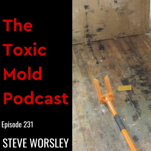 EP 231: Identifying Toxic Mold Growth
