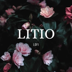 GONDOLVR$ - LITIO (LO-FI)