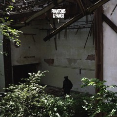 CONNOISSEUR (Mistrrr Remix)