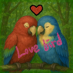 Love bird