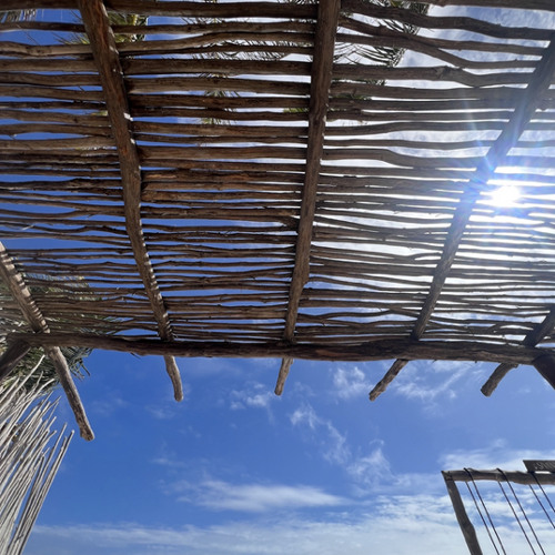 FOREST D. -  Full Set / Tulum, Sivana 2025