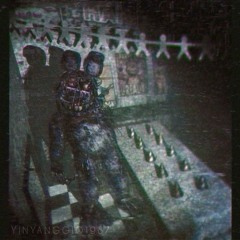 Two birds on a wire slowed