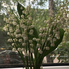 The Greatest Fraudster