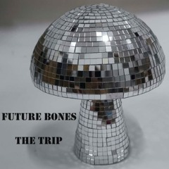The Trip