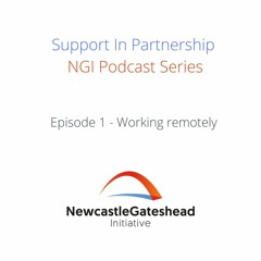 Support in Partnership - Ep 1 - Remote Working