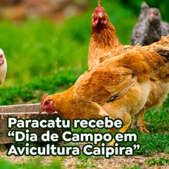 Paracatu recebe “Dia de Campo em Avicultura Caipira”