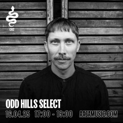 Odd Hills - Aaja Channel 2 - 16 04 25