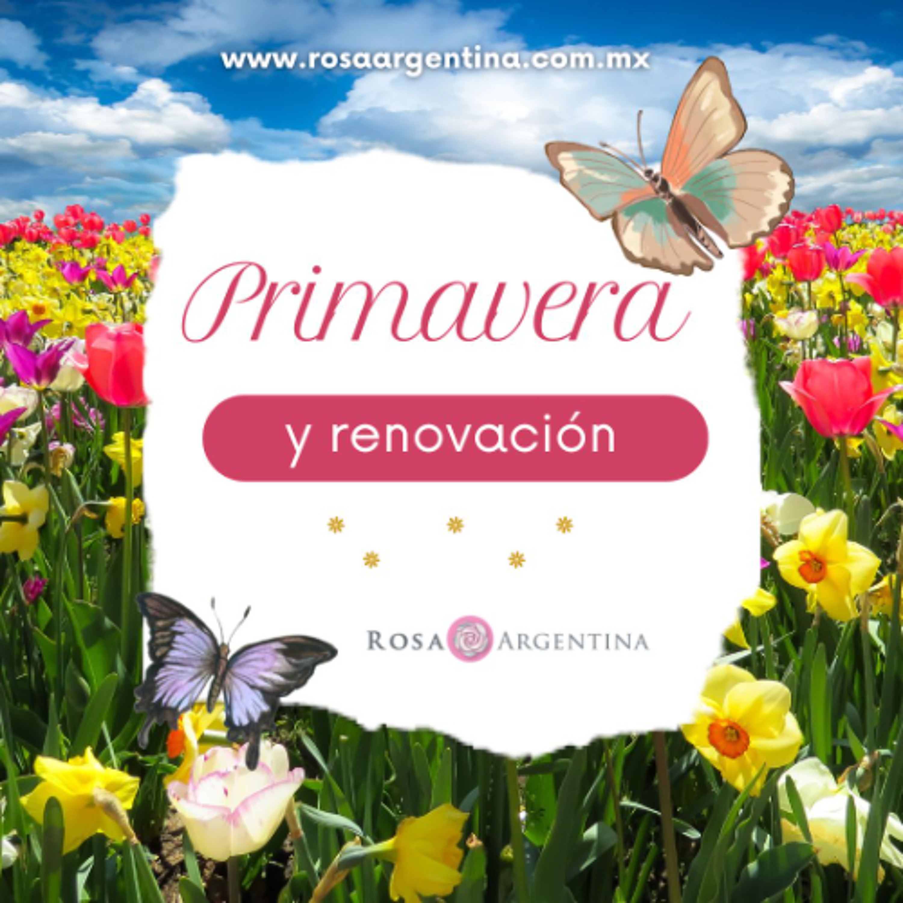 Portada de Rosa Argentina Rivas Lacayo