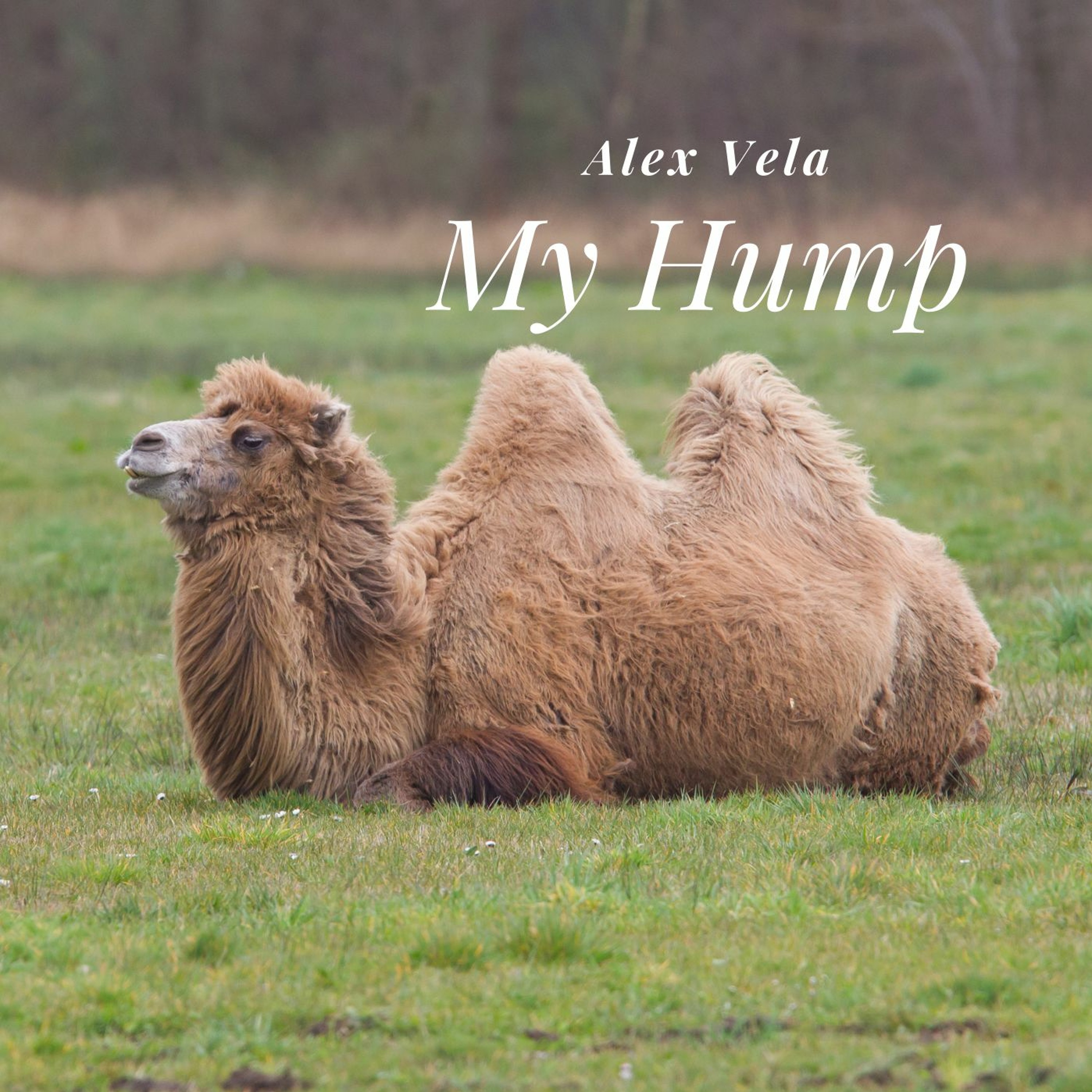 My Hump episode artwork