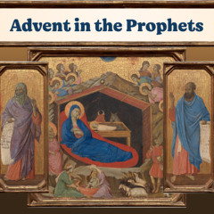 The Son of Man Across Time