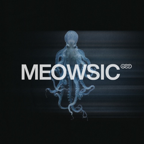MEOWSIC APT. invites MLiR (SWE)
