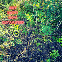 Doc Gryphon - Not Right Now Clysmified