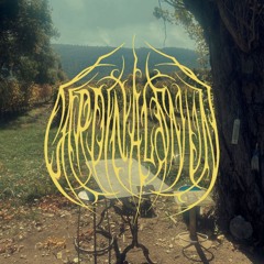 Cardinal & Nun - Rotten sun