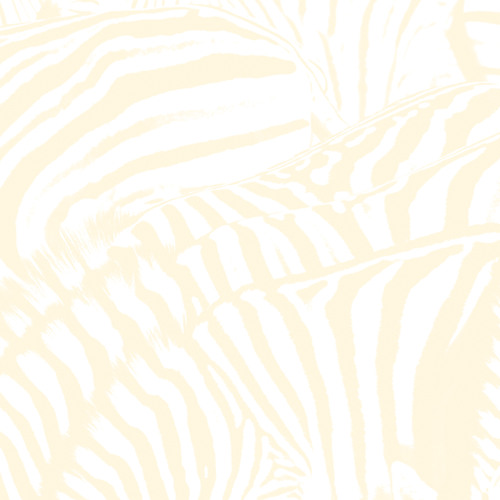 Used to Be