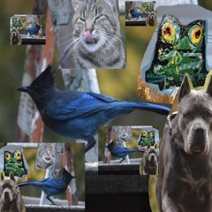 when you are unexpectedly busy busy all day