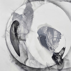 Muted (Lehto Remix)