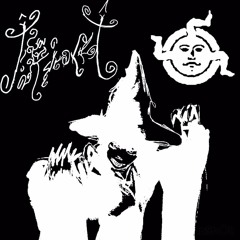 tanzelnacht - dezufeldweik