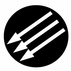 Oligarchical Collectivism (early version)