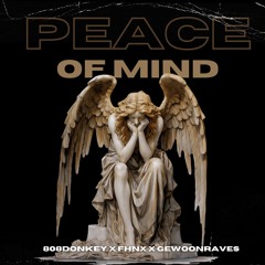 [FREE DL] FHNX X 808Donkey X GEWOONRAVES - PEACE OF MIND