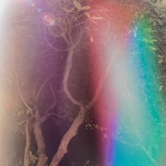 A Mid-Autumn Night's Dream