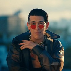 TE ELEGI - RAUW ALEJANDRO - LEAN DJ