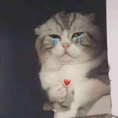 Rồi anh sẽ chảng còn nhớ về em :)