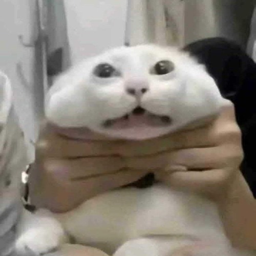 nàng kiều lỡ bước tune drill ( tiktok )