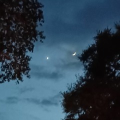 Brendan Mitchell - A Quiet Child