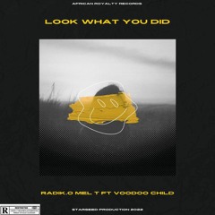 12. Mel-T - Look What You Did [ Prod. by Voodoo Child, 2ad91729