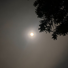 Offshoot Radio, Vol. 1 - ( HOUSE )