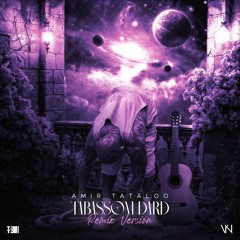 Amir Tataloo - Tabassom Dard (remix)