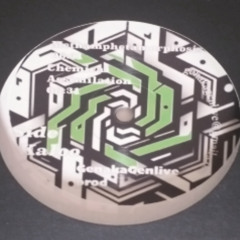 Chemical Assimilation (Out on GKV 06 on vinyl)