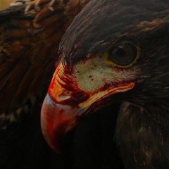 ALREADY KNOW (prod. Ezra)