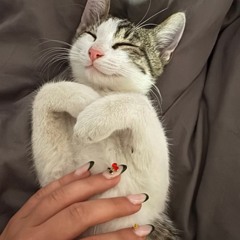 Limerence - Yves Tumor (slowed perfection)