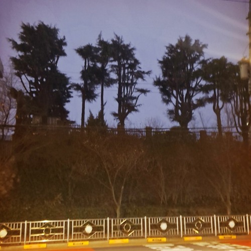 1. F1rst Step ( Prod. Txmmy Beat )