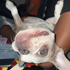 Bitches Cap ft. Bolevard