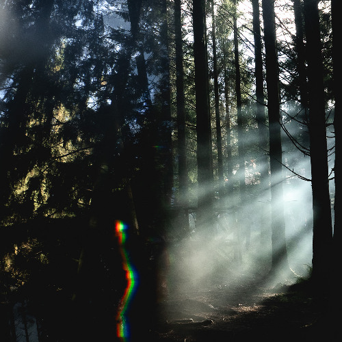 Hypnose Session 003 - Verveine & Toé (broadcasted on Studio Néau)