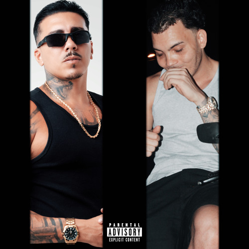 Tu Vai Ver um Pitbull