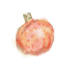 Blumenthol (Acoustic)