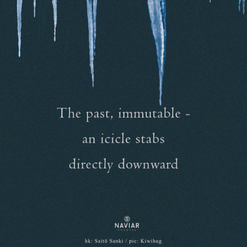 Icicles - (naviarhaiku - 588)