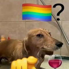 NO NAME - DJ TLS DA ZL ( SLOWED) 😮‍💨