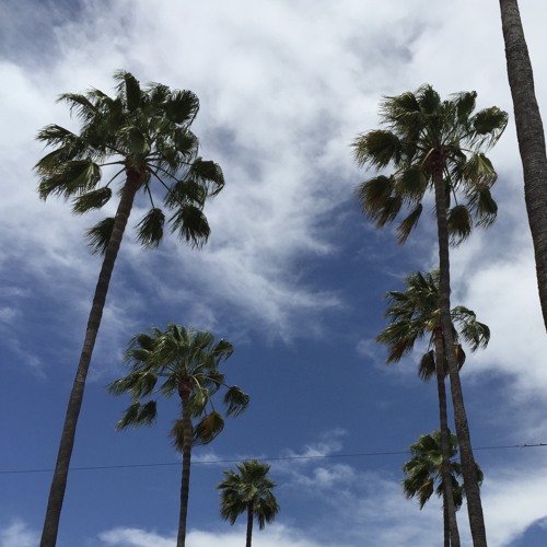 (master) فؤاد عبدالواحد - كثر الغلا